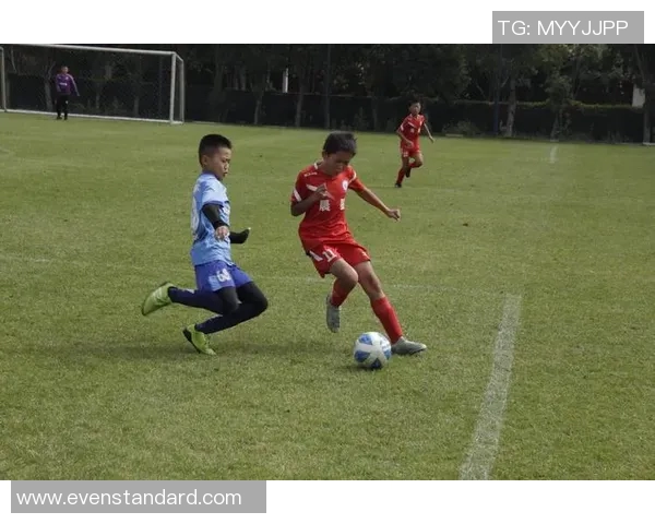 小球迷勇敢提问足球巨星现场互动点燃绿茵梦想 小球迷勇敢提问足球巨星现场互动点燃绿茵梦想