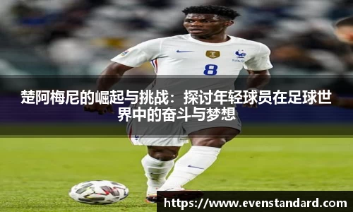 BG大游官网